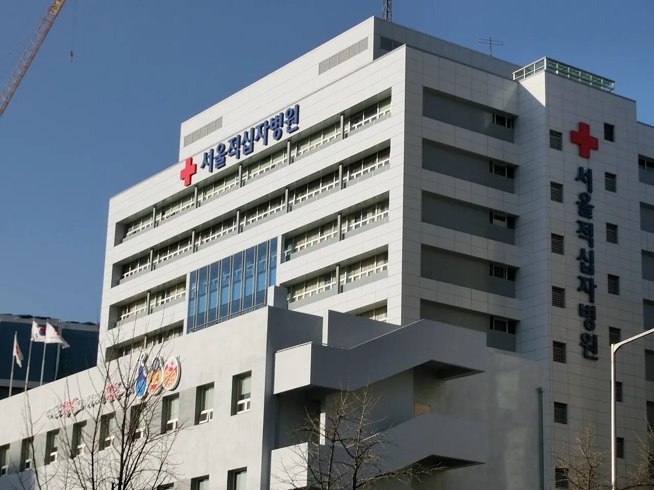 서울적십자병원 병원 사진