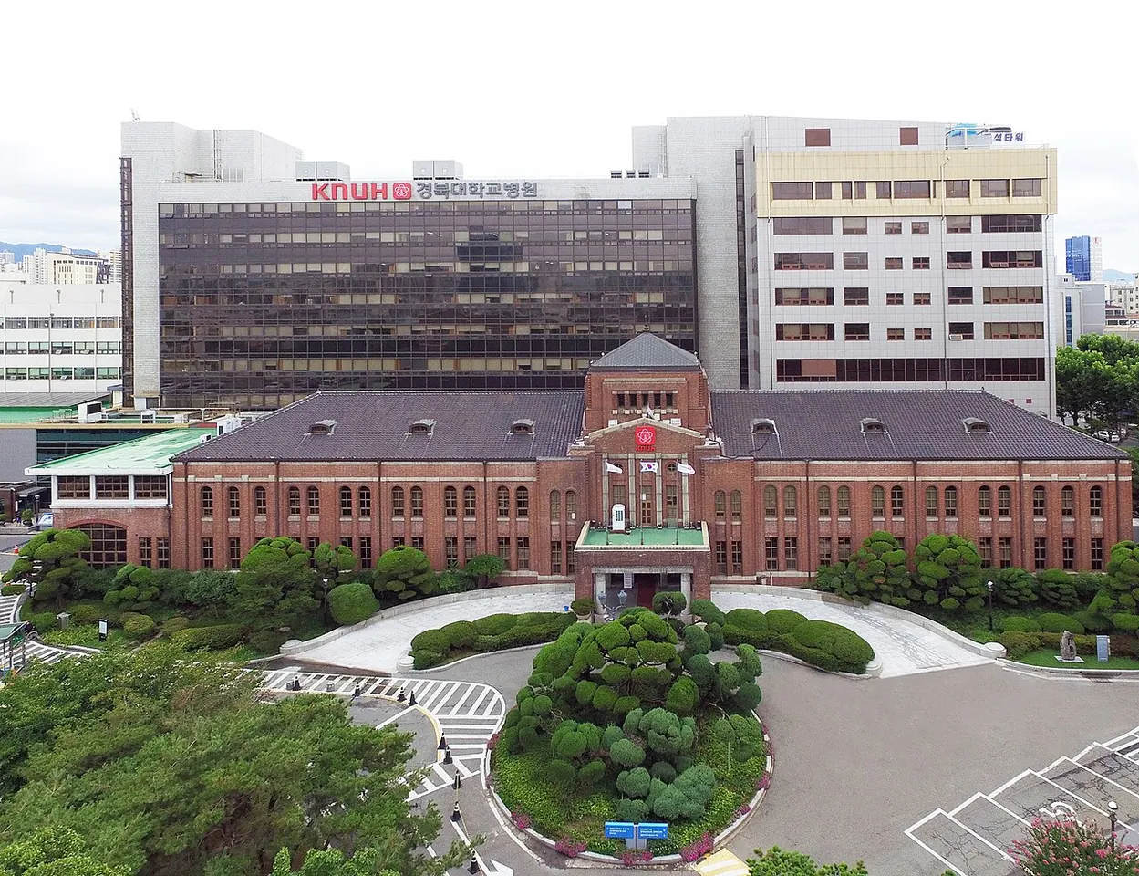 경북대학교병원 건물 사진