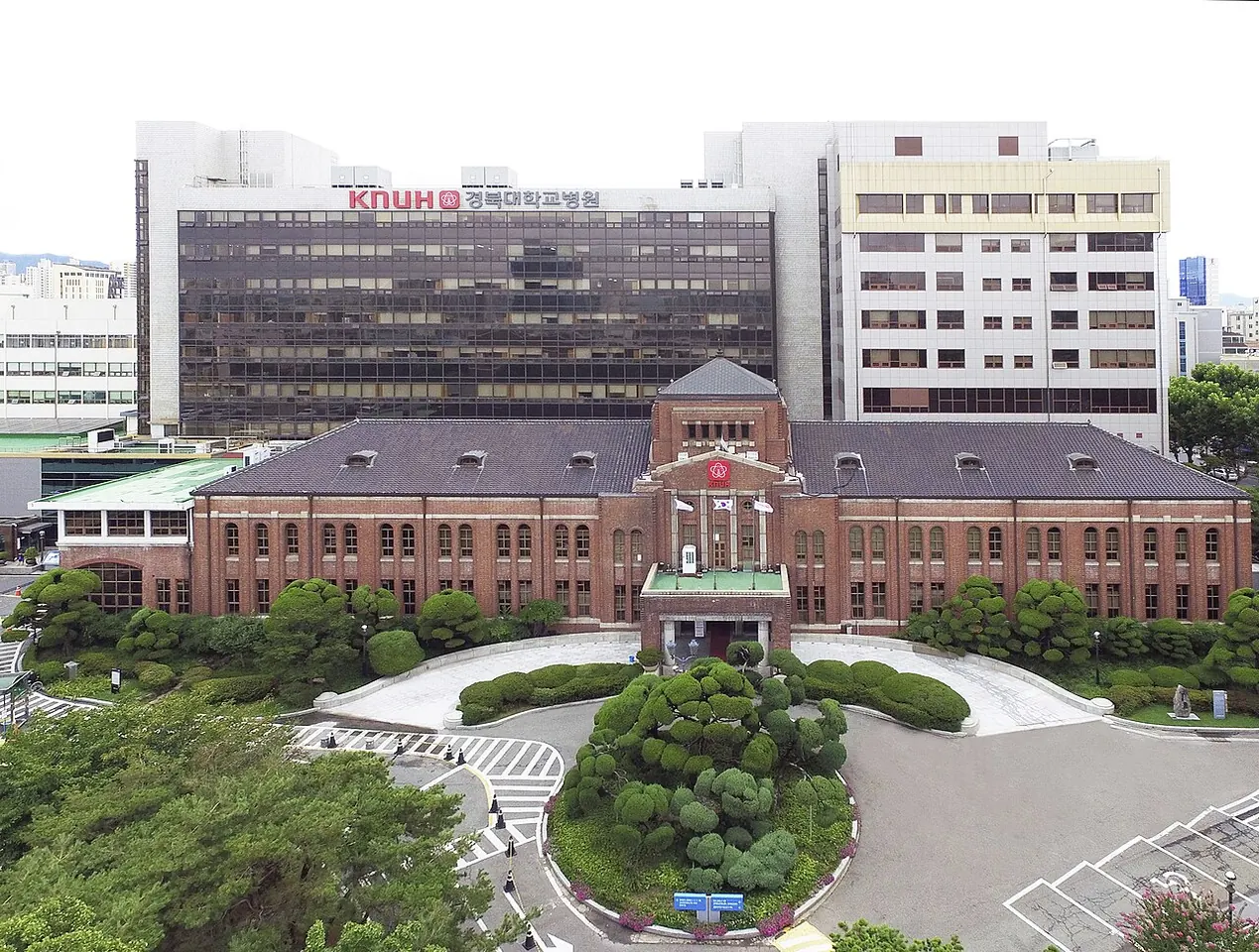 경북대학교병원 병원 사진