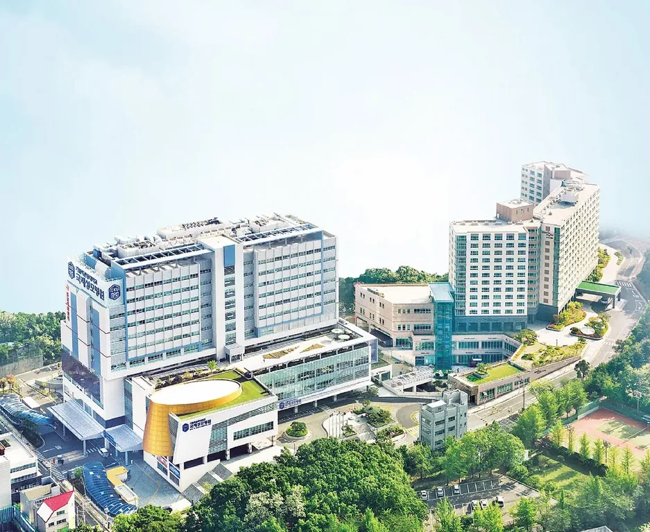 가톨릭관동대학교 국제성모병원 병원 사진