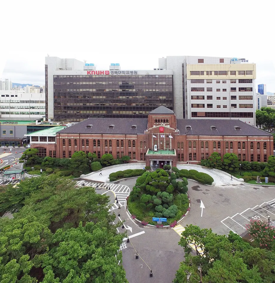 경북대학교병원 건물 사진