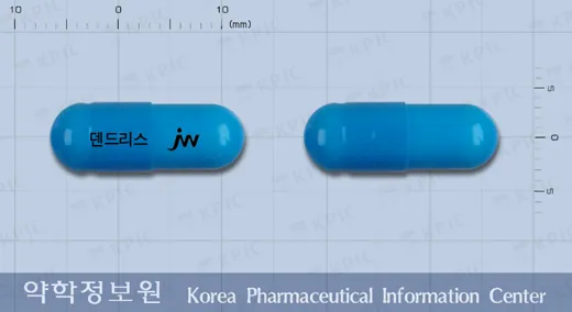덴드리스캡슐 · 제이더블유중외제약(주) 식별 참고 이미지