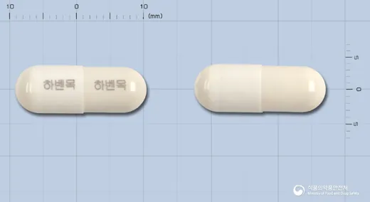 하벤목에스캡슐 · 고려제약(주) 식별 참고 이미지