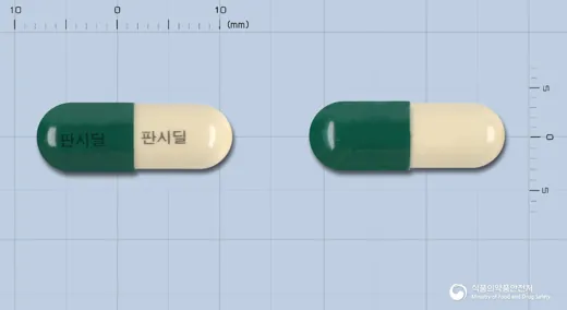 판시딜캡슐 · 동국제약(주) 식별 참고 이미지