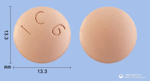 센스민정(디오스민) · 아이큐어(주) 식별 참고 이미지